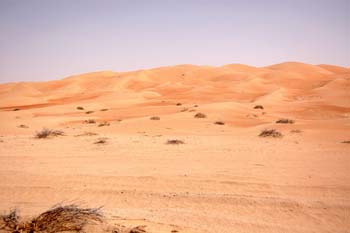 080405-Liwa-043