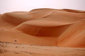 080405-Liwa-064