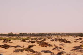 080405-Liwa-087