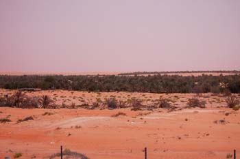 080405-Liwa-088