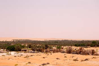 080405-Liwa-089